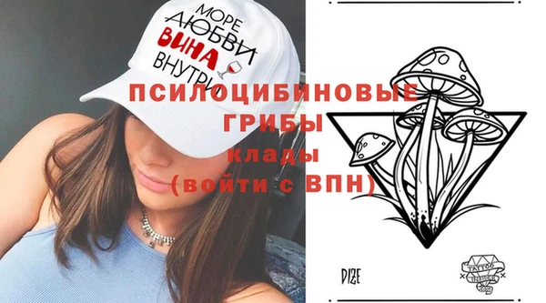СК Абаза